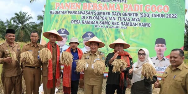 Bupati Rohul Seru Masyarakat Kembangkan Padi Gogo Kendalikan Inflasi