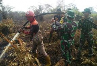 KLHK dan Satgas Gabungan Berjibaku Padamkan Hotspot di Provinsi Rawan Karhutla