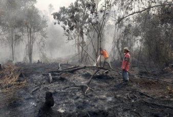 Polda Riau Verifikasi PT PWH Terkait Pengadaan Proyek Pompa Air di Bengkalis