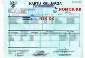 Kata Menkominfo soal Pendaftaran NIK dengan Banyak Nomor