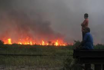 Titik Api di Riau Meningkat