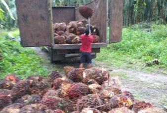 Menuntut Untung di Masalah Segunung