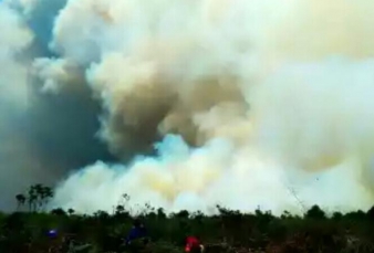 Kebakaran Lahan di Inhil Meluas, BPBD Riau Minta Bantuan RPK RAPP