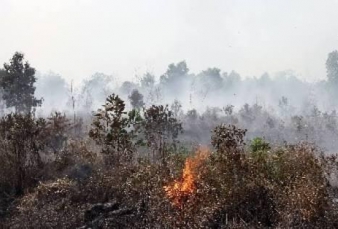 Ada 8 Titik Api di Riau