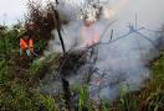 Hingga Kini, Ini Jumlah Lahan Terbakar di Riau