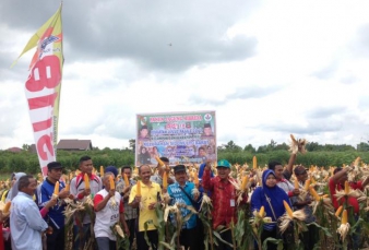 Lahan Tidur Jadi Surga Para Petani