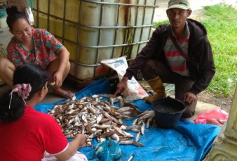 Ikan Kecil Dan Besar Tiba Tiba Mati di Sungai Pudu