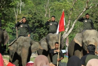 Saat Gajah Sumatera Ikut Upacara Hari Pahlawan