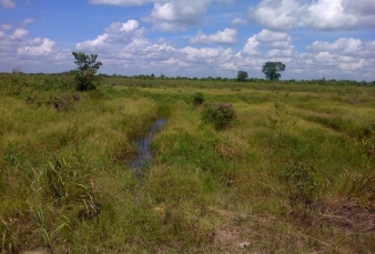 Kemana Intansi Terkait Yang Urusi Cetak Sawah itu