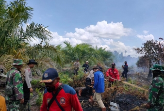 Awal Tahun, 15 Hektar Lahan di Siak Terbakar