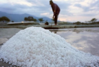 Airlangga Desak Industri Serap 1,5 Juta Ton Garam Petani