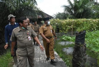 Program Ocu Kampar Wujudkan Ketahanan Pangan