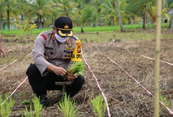 HUT Bhayangkara, Polisi Bantu Tanam Padi di Inhil