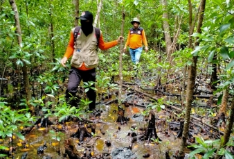 Sepekan sudah kakek di Meranti hilang di hutan