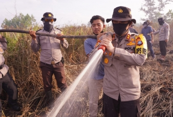 6 Hektar Lahan Diduga Milik Kelompok Tani Terbakar di Pelalawan