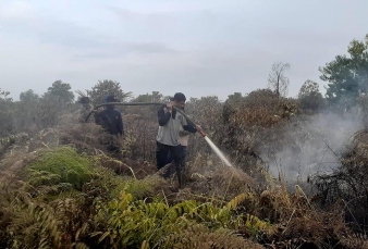 Delapan Hektare Lahan di Pulau Rangsang Terbakar