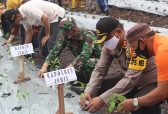 Jaga Kampung, Wujudkan Ketahanan Pangan Dari Tembilahan