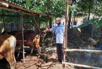 Disnak Seluruh Riau Diinstruksikan Periksa Hewan Qurban