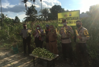 Saat Polisi di Meranti Mulai Bertani