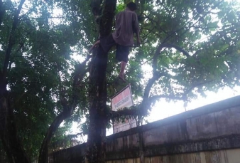 Warga Pekanbaru Tergantung di Pohon Rindang