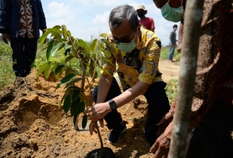 Gubernur Riau Tanam Pohon Anggur dan Durian