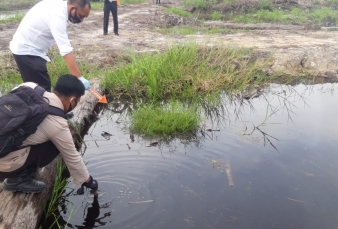 Alamak, Ada Mayat di Kanal Kebun Sawit Pelalawan