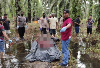 Warga Rokan Hulu Ditemukan Meninggal di Kebun Sawit