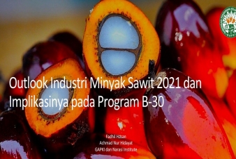 Begini Geliat Bisnis Minyak Sawit 2021 Versi GAPKI