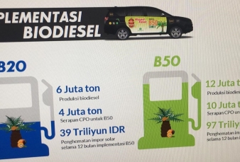 Ekonom INDEF: B50 Bisa, Tapi Duit Tak Cukup