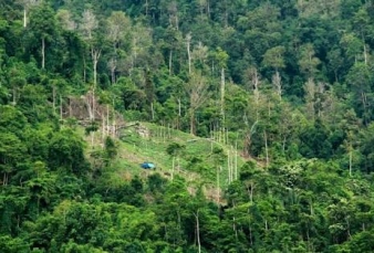 700 Desa di Kalteng Masuk Kawasan Hutan, Warga Sulit Buat Sertifikat