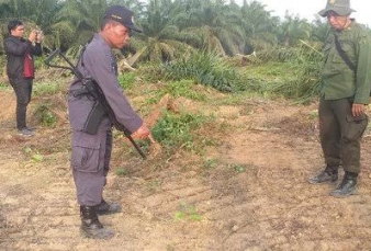 Sudah Terlanjur Ditebangi, Ternyata Eksekusi Lahan di Gondai Tidak Sah