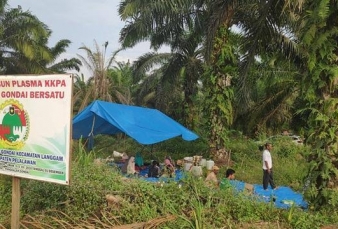 Sengketa Eksekusi PT PSJ, Negara Dinilai Lemah soal Izin Kehutanan