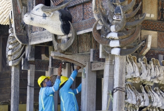 Sukses Dorong Produktivitas, Pendapatan PLN Naik Jadi Rp 212,8 Triliun