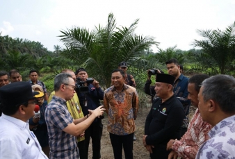 OJK Dorong Peningkatan Akses Pendanaan Kelompok Petani Sawit di Riau