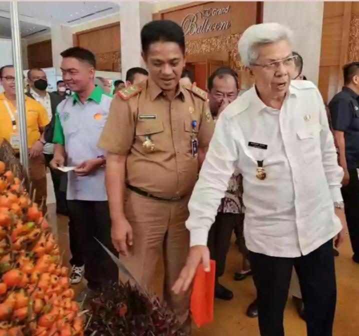 Kebun Sawit Belum Ada Separuh Kantongi ISPO di Sumsel, ini Kendalanya