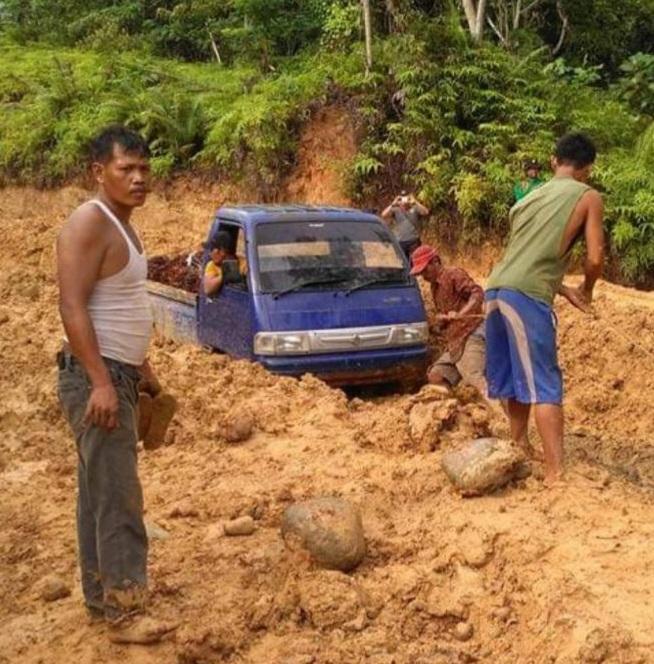 Dewan Tuding Pemprov Tak Peduli Petani Sawit, Ini Penyebabnya