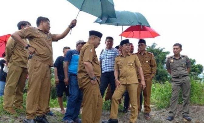 Pemusnahan Ratusan Hektar Kebun Sawit di Sigi, Ini Perkembangannya