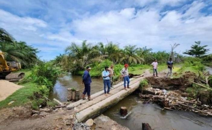 Infrastruktur Kebun Sawit Rusak, Kata DPW Apkasindo Tak Begitu Parah