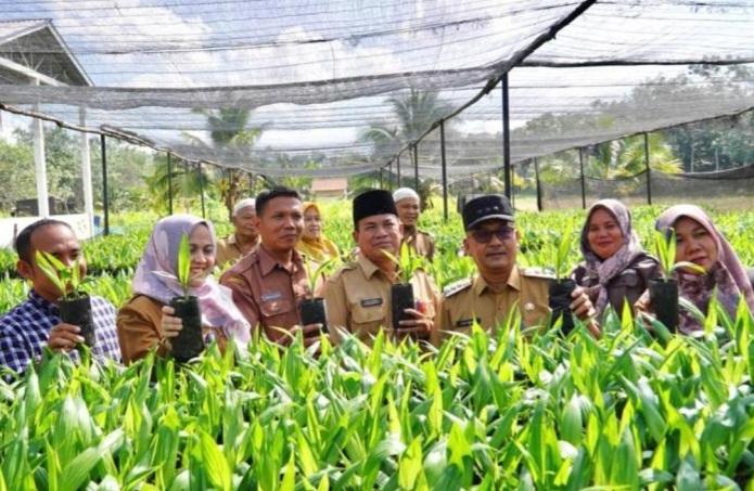 Petani Sawit Swadaya Sumringah, Pj Bupati Kampar Bagikan Ribuan Bibit Unggul