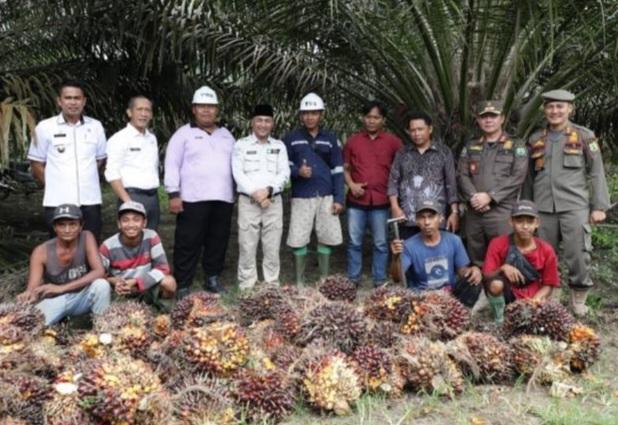 Patut Ditiru, Cara Pemkab Musi Banyuasin Bina Calon Pekebun Sawit Baru