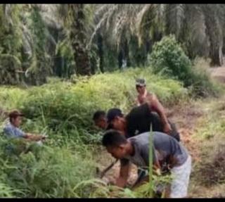 Kepala Kantor Perwakilan BI Bengkulu Puji Petani Sawit Beri Berkontribusi