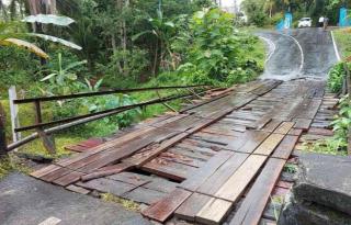 Pengangkutan TBS Sawit Masyarakat Terkendala Ulah Jembatan Kayu Rusak