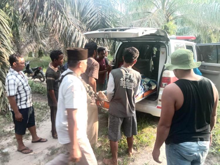 Lelaki Penyetrum Ikan Tewas di Pinggir Sungai Lembat Dekat Kebun Sawit