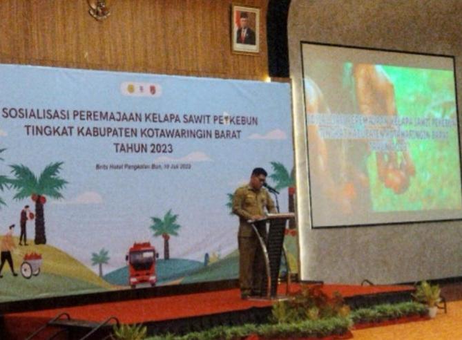 Oalah.., Program PSR Terkendala Lantaran STDB Lahan Minim di Kobar