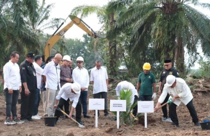 Tumpang Sari di Kebun PSR, Bupati Sergai: Ini Role Model 