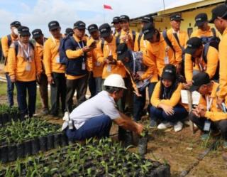 Pekebun Anjangsana ke Perusahaan Sawit Tambah Wawasan Budidaya