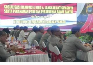 Program Peremajaan Sawit dan Tanam Ulang Padi Diluncurkan di Kalsel