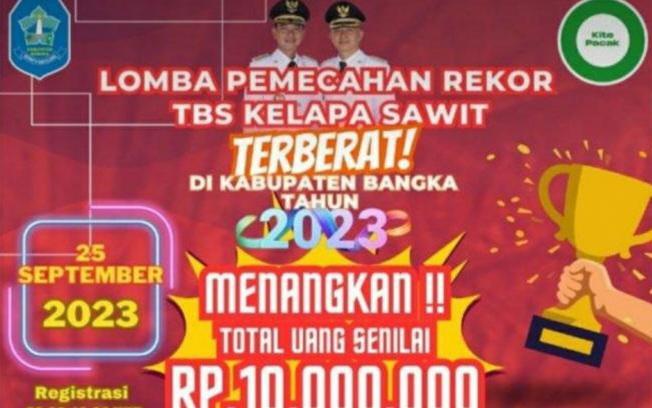 Wow, Lomba TBS Sawit Terberat di Bangka Catat Syarat dan Hadiah Juara