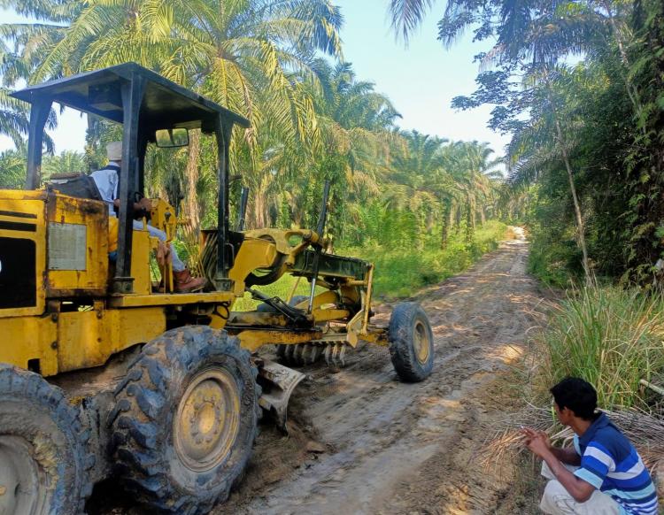 PT Darmali Jaya Lestari Kerahkan Grader dan Compactor