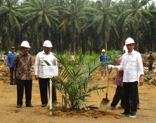 Evolusi Terbaru Industri Sawit Indonesia, Picu Pertumbuhan Ekonomi Daerah Sentra Sawit